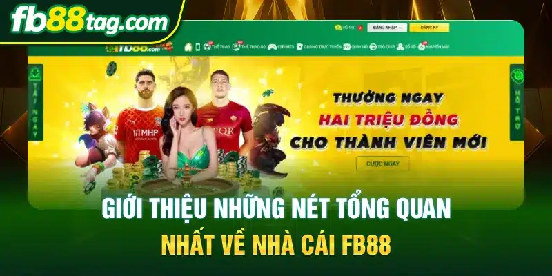 Giới thiệu những nét tổng quan nhất về nhà cái FB88